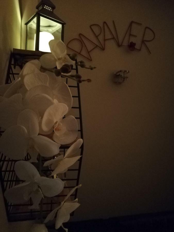 Papaver Apartament ジェロナ・グラ エクステリア 写真